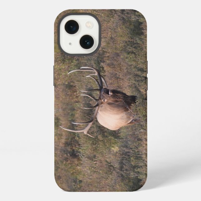 Coque iPhone Élan bugling (Verso)