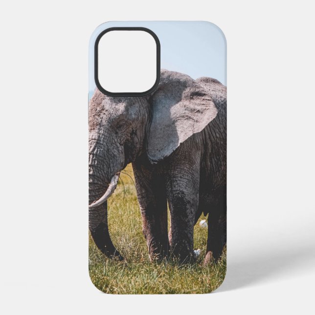 COQUE iPhone ÉLÉPHANT ADORABLE (Verso)