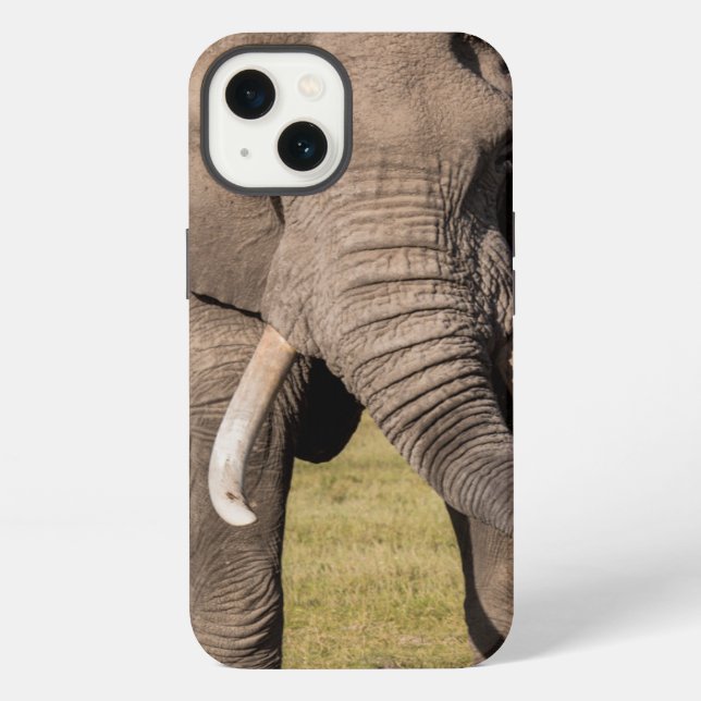 Coque iPhone Éléphant dans une pose agressive (Verso)