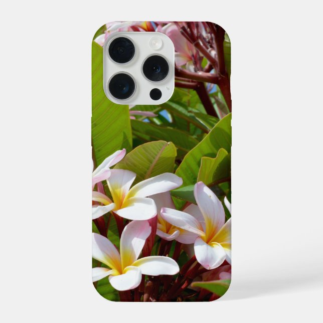 Coque iPhone Épanouissement rose, fleurs de frangipanier roses  (Verso)
