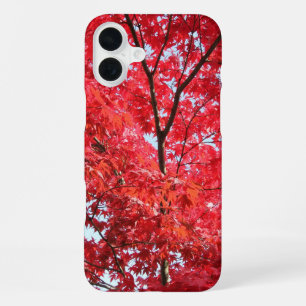 Coque iPhone 16 Plus Érable Japonais Rouge Clair