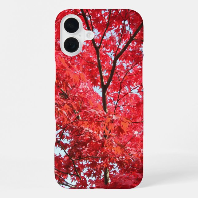 Coque iPhone Érable Japonais Rouge Clair (Verso)