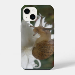 Coque Pour iPhone 14 Escargot de jardin et Œillet blanc