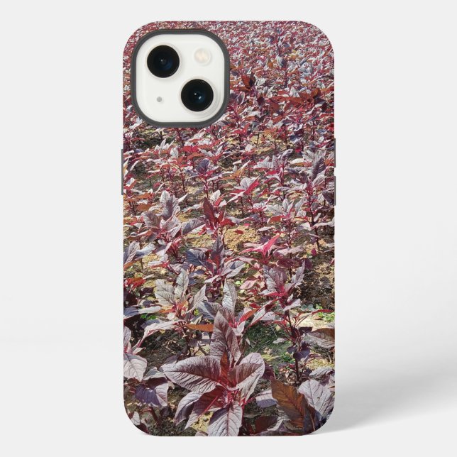 Coque iPhone Étui Apple iPhone 13 Case-Mate Tough (Verso)