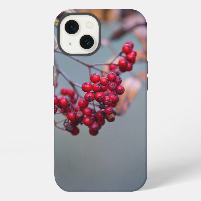 Coque iPhone Étui Apple iPhone 13 Case-Mate Tough (Verso)