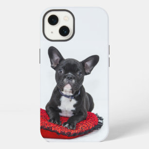 Etui iPhone 13 étui Case-Mate pour iPhone bouledogue