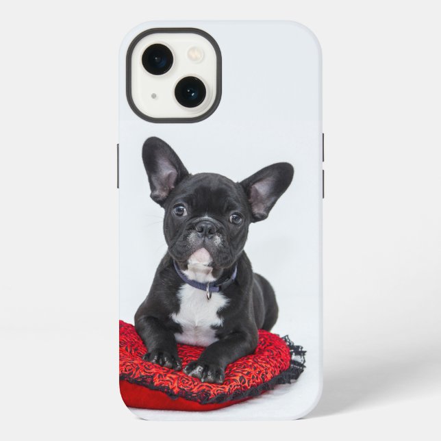 Coque iPhone étui Case-Mate pour iPhone bouledogue (Verso)