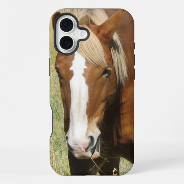 Coque iPhone Étui de téléphone Cheval (Verso)