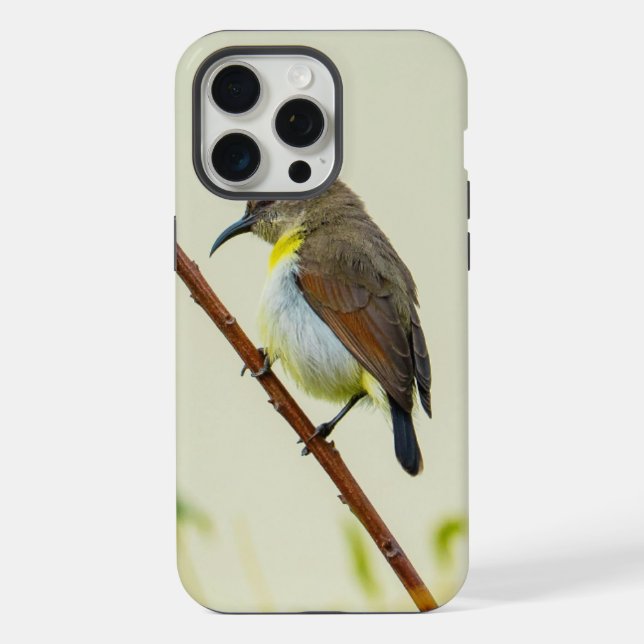 Coque iPhone Étui de téléphone Nature Oiseau (Verso)