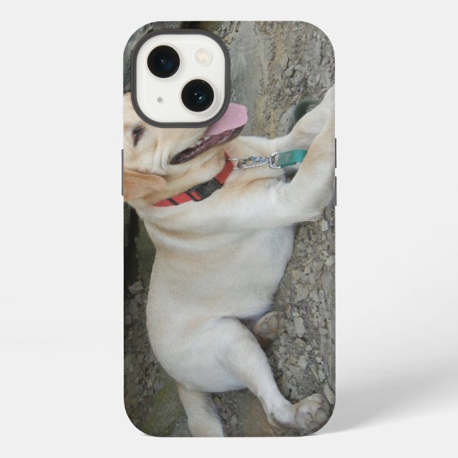 Coque iPhone Étui iPhone 8 Retriever Labrador jaune (Verso)