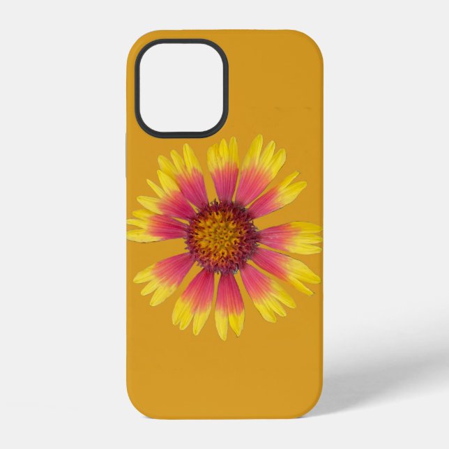 Coque iPhone Étui iPhone Indian Blanket (Verso)