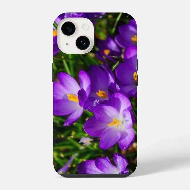 Coque iPhone Étui iPhone Lilac Crocuses (Verso)