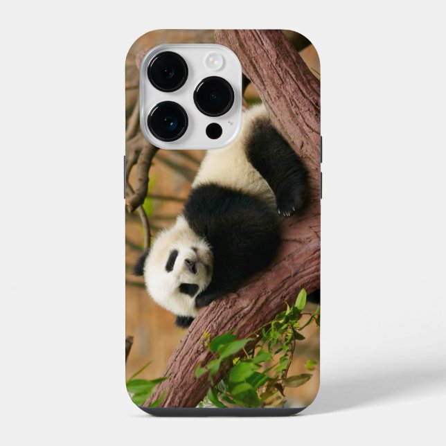 Coque iPhone Étui iPhone Panda Bear Case-Mate  (Verso)