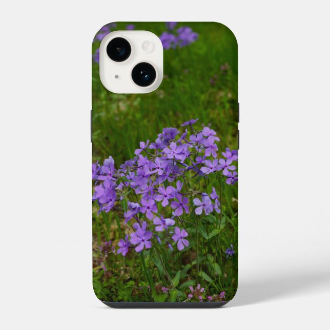 Coque iPhone Étui iPhone Wild Blue Phlox (Verso)