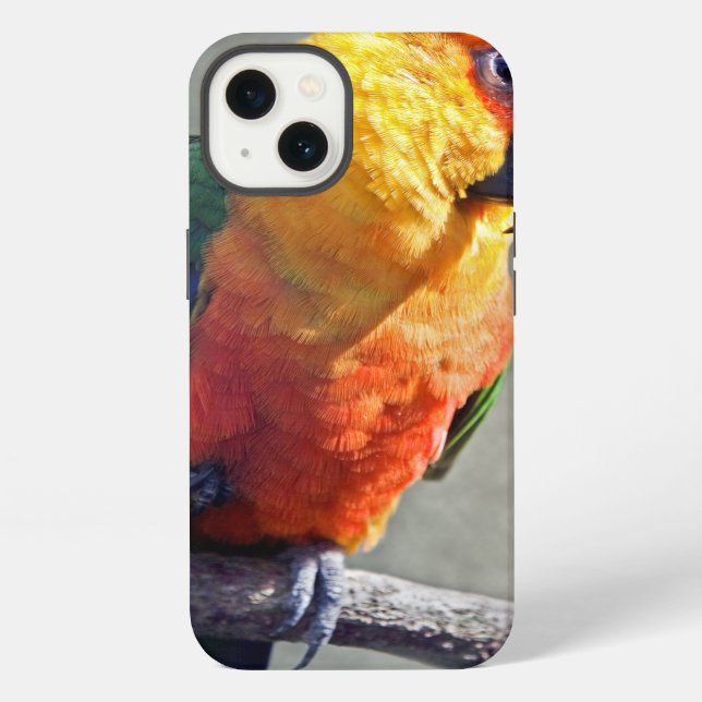 Coque iPhone Étui pour iPad Conure Jenday (Verso)