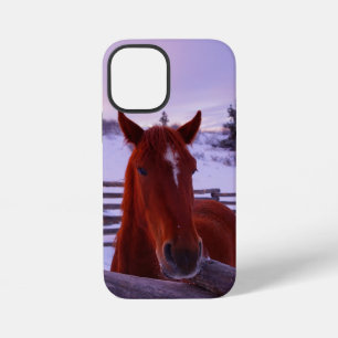 Coque iPhone 12 Mini Étui pour iPhone 12 Mini Tucker dans la neige