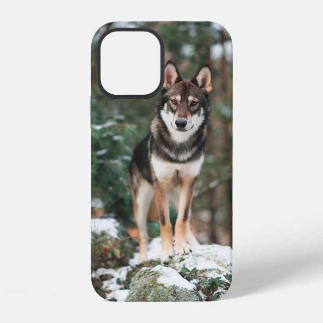 Coque iPhone Étui pour iPhone 12 Wolfdog (Verso)