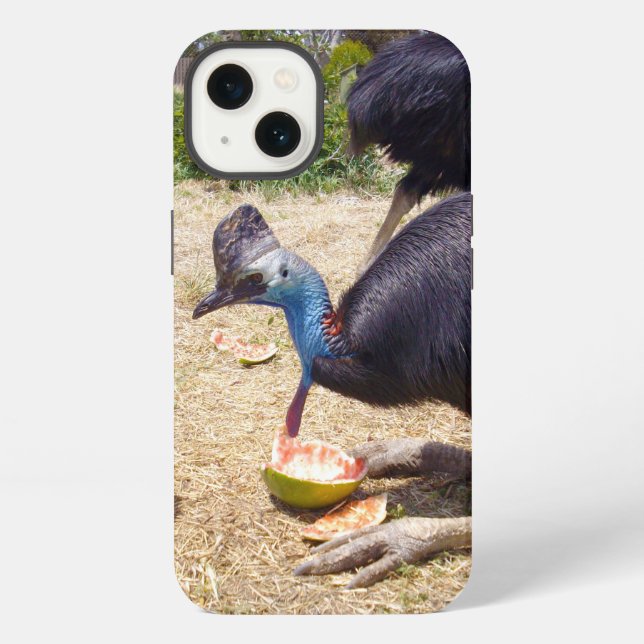 Coque iPhone Étui pour iPhone 13, oiseau casuarina mangeant des (Verso)