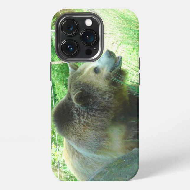 Coque iPhone Étui pour iPhone 13 Pro Ours Grizzly #3 (Dos)