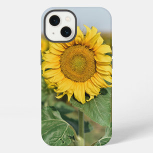 Etui iPhone 13 Étui pour iPhone 13 Tournesol