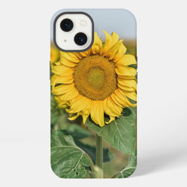 Coque iPhone Étui pour iPhone 13 Tournesol (Verso)