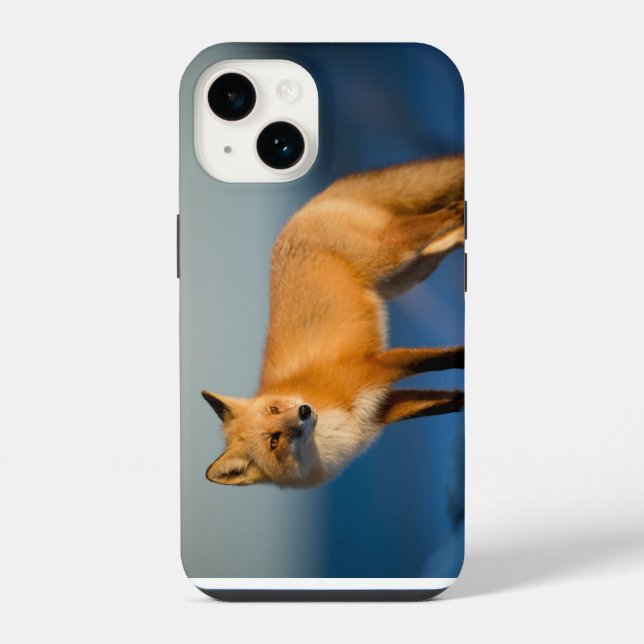Coque iPhone Étui pour iPhone 14 Renard Brun (Verso)
