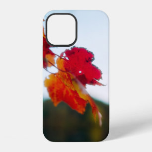Coque iPhone 12 Étui pour iPhone Autumn Leaf