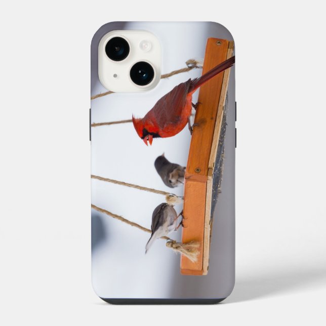 Coque iPhone Étui pour iPhone Cardinal et Juncos (Verso)