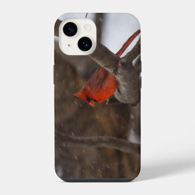 Coque iPhone Étui pour iPhone Cardinal tempête de neige (Verso)