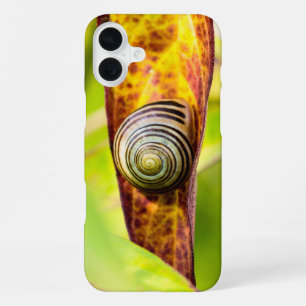 Coque iPhone 16 Plus étui pour iPhone Case-Mate avec attache apaisante