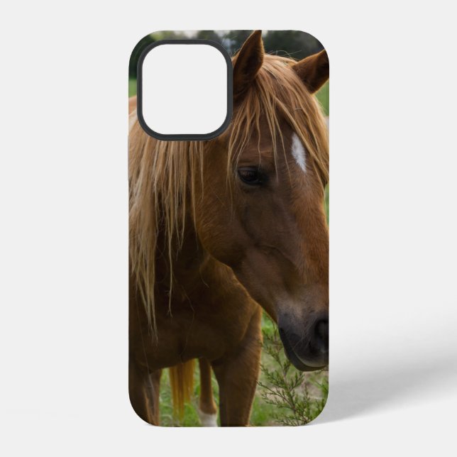 Coque iPhone Étui pour iPhone Cheval Bonjour (Verso)