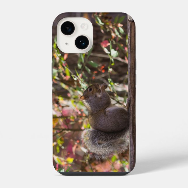 Coque iPhone Étui pour iPhone Squirrel Chow Time (Verso)