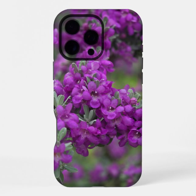Coque iPhone Étui pour Iphone Texas Sage (Verso)