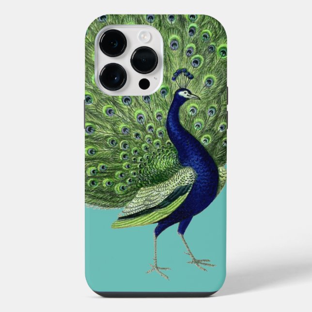 Coque iPhone Éventail ouvert de paon (Verso)