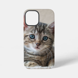 Coque iPhone 12 Mini Face de chat mignonne