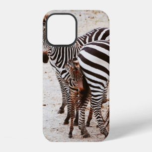 COQUE iPhone 12 FAMILLE ZEBRA