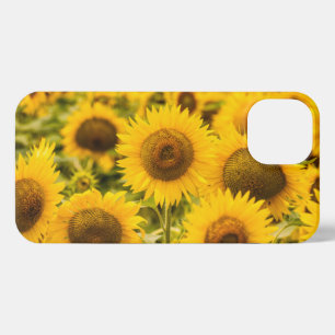 Etui iPhone 13 Farms   A Sunflower