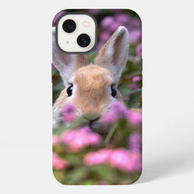 Coque iPhone Ferme de lapins (Verso)