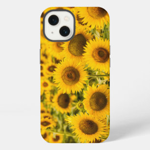 Etui iPhone 13 Fermes Un champ de tournesols