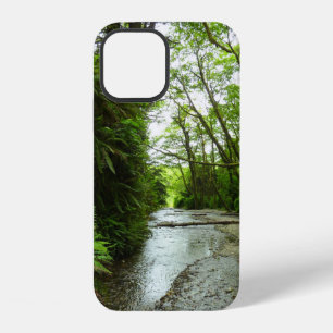 Coque iPhone 12 Fern Canyon II au Parc national de Redwood