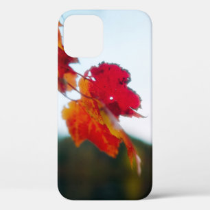 Coque iphone feuille automne
