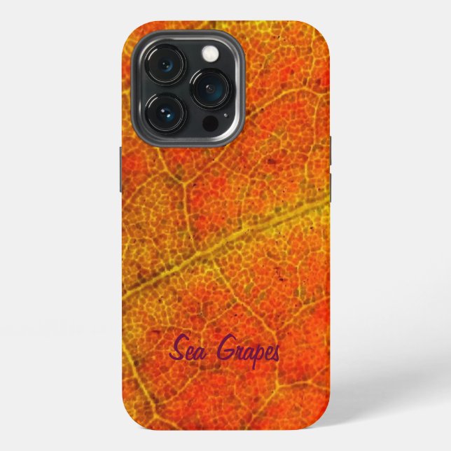 Coque iPhone Feuille de raisin de mer robuste (Dos)