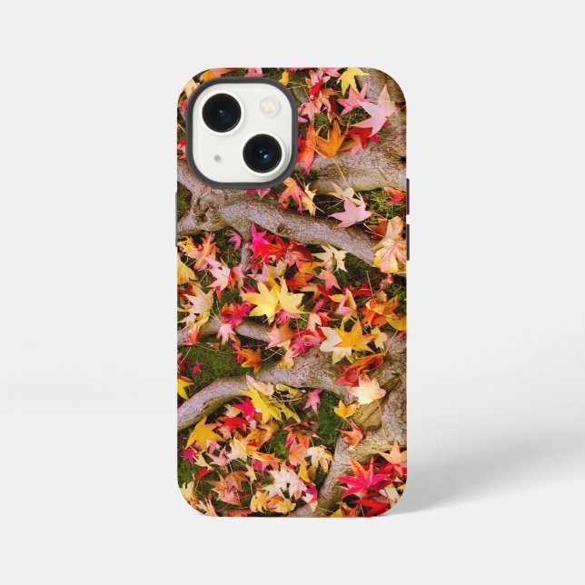 Coque iPhone Feuille d'érable colorée (Verso)