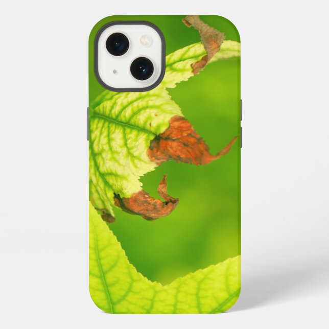 Coque iPhone Feuille d'érable malade (Verso)