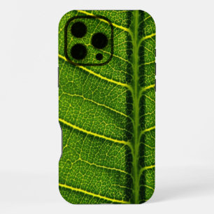 Coque iPhone 16 Pro Max Feuille verte