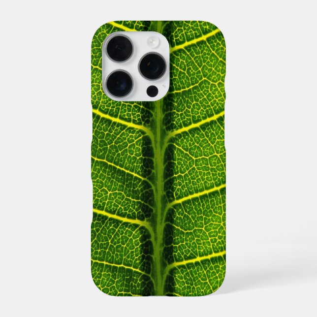Coque iPhone Feuille verte (Verso)