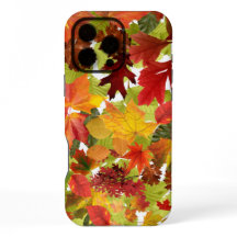 Feuilles automnales d'automne