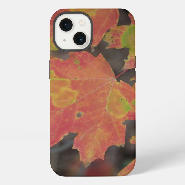 Coque iPhone Feuilles d'automne (Verso)