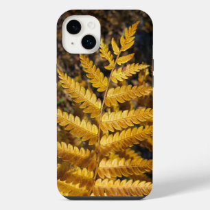 Feuilles d'automne Golden Yellow Ferme photo
