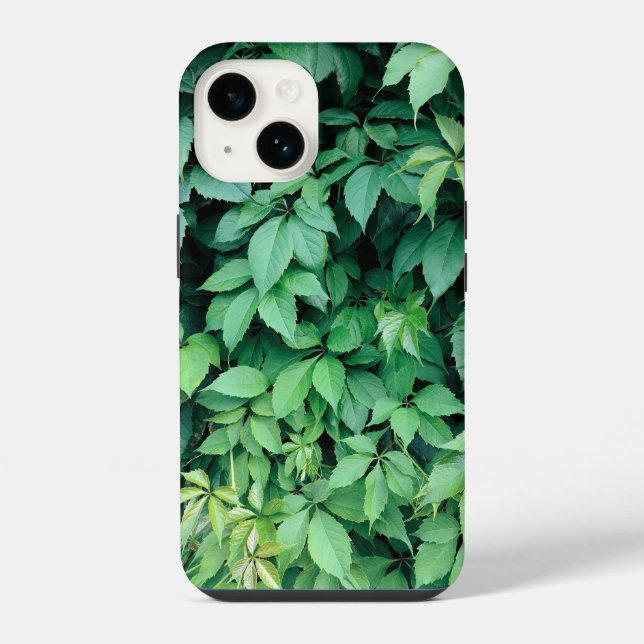 Coque iPhone Feuilles de raisins verts (Verso)